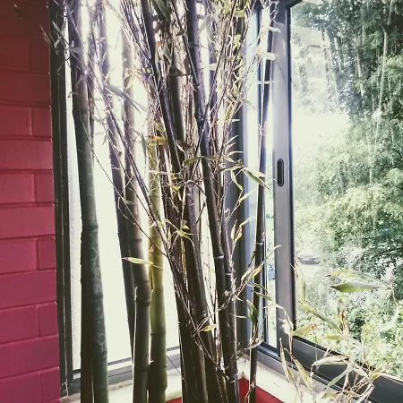 Апартаменты Lima Порту